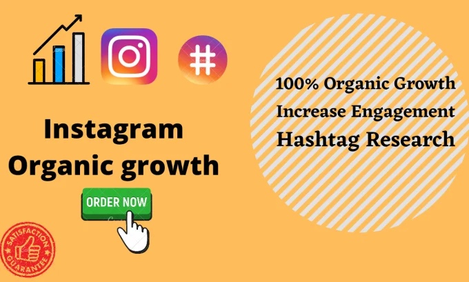 How To Get Your Instagram Link To Grow Your Followers Fast